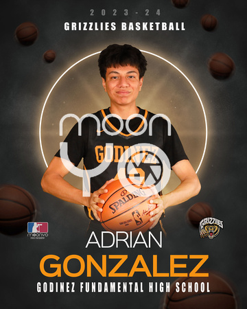 Adrian Gonzalez 2