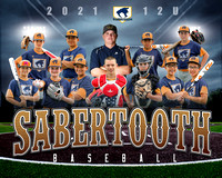 Sabertooth Travel Baseball