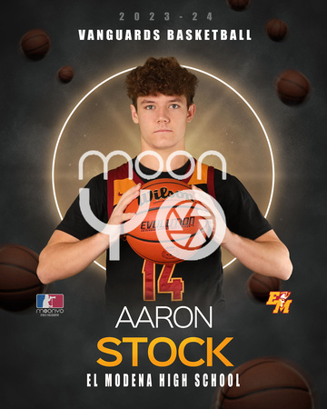 Aaron Stock 3