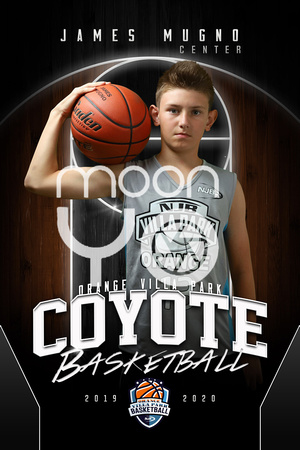 Coyote 18 Indoor Basketball 2