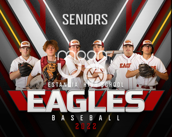 2022 Baseball Seniors 8 x 10