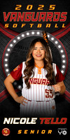 Nicole Tello Senior Banner 1
